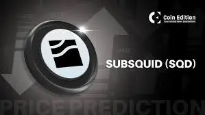 Subsquid